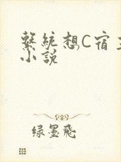 系统想C宿主的小说