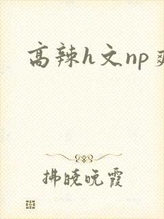 高辣h文np爽