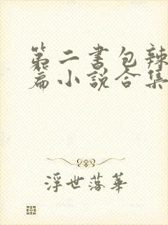 第二书包辣网短篇小说合集