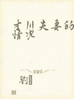 才川夫妻的恋爱情况