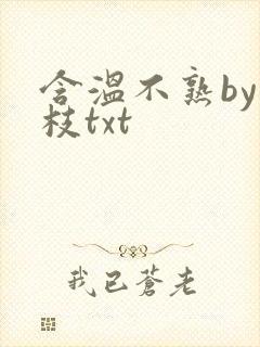含温不熟by词枝txt