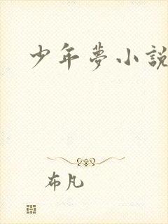 少年梦小说