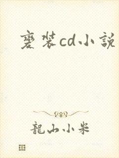 变装cd小说