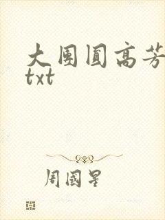 大团圆高芳小说txt