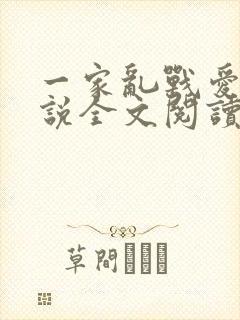 一家乱战爱莲小说全文阅读