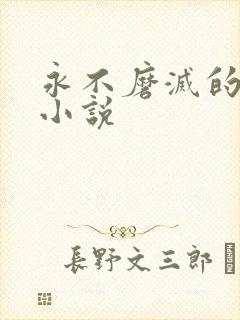 永不磨灭的番号小说