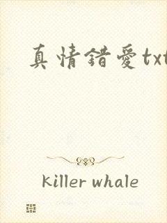 真情错爱txt