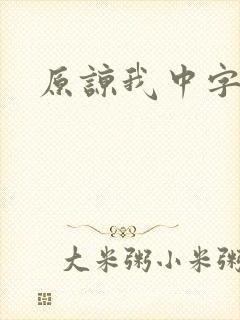 原谅我中字