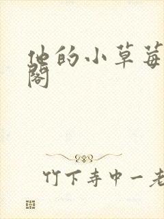 他的小草莓笔趣阁