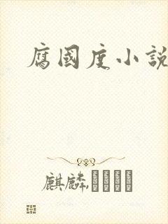 腐国度小说