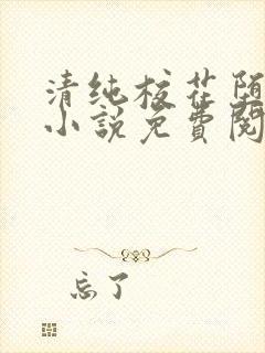 清纯校花堕落记小说免费阅读