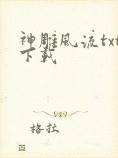 神雕风流txt下载