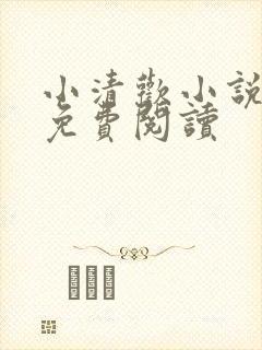 小清欢小说全文免费阅读