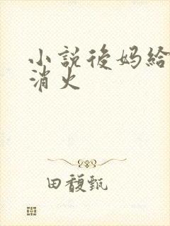 小说后妈给我消消火