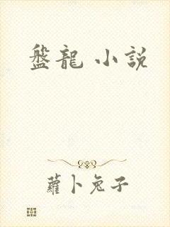 盘龙 小说