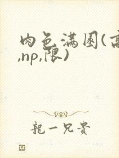 肉色满园(高h,np,限)