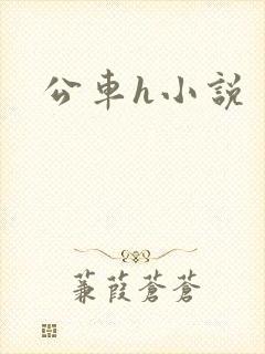 公车h小说