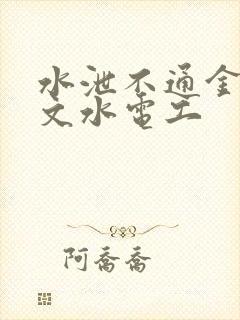 水泄不通金银原文水电工