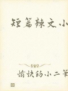 短篇辣文小说