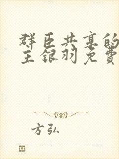 群臣共享的小公主银羽免费阅读