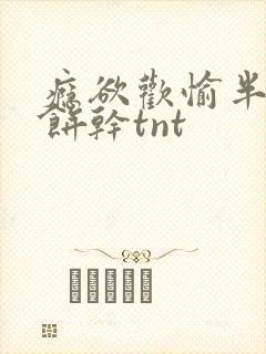 瘾欲欢愉半块小饼干tnt