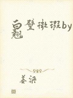 白璧微瑕by连翘