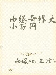 内缘奇缘大团圆小说网