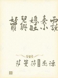 好儿媳秦雨罗明罗兴旺小说