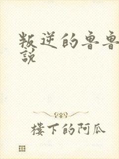 叛逆的鲁鲁修小说