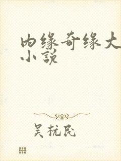 内缘奇缘大团圆小说