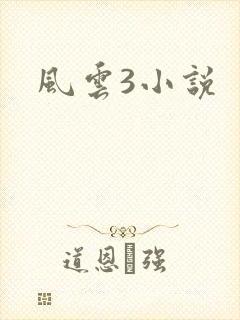 风云3小说