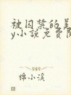 被囚禁的美人by小说免费阅读