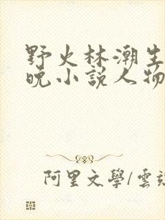 野火林潮生林晚晚小说人物野火
