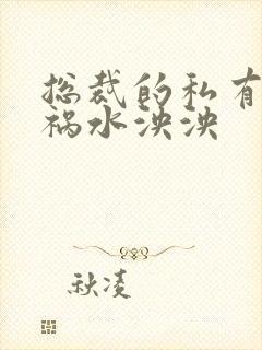 总裁的私有宝贝祸水泱泱封面