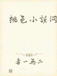 桃色小说网