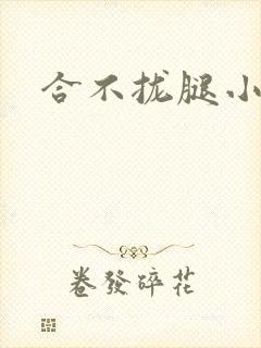 合不拢腿小说