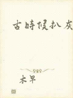 古时候扒灰小说