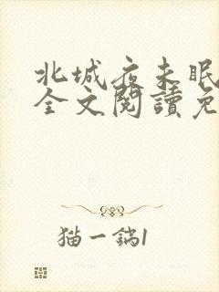 北城夜未眠小说全文阅读免费