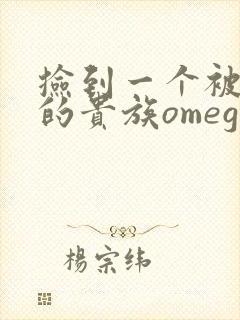 捡到一个被抹布的贵族omega