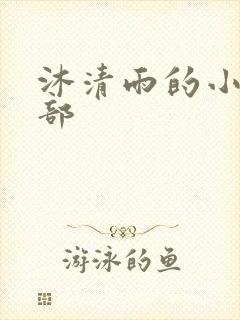 沐清雨的小说全部