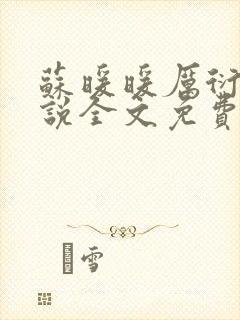 苏暖暖厉衍琛小说全文免费阅读