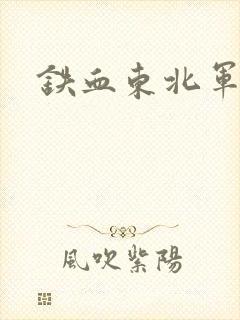 铁血东北军