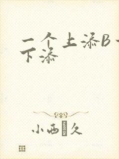 一个上添B一个下添