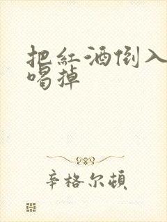 把红酒倒入b里喝掉