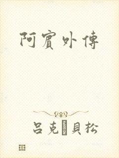 阿宾外传