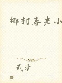 乡村春光小说