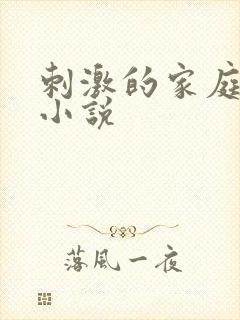 刺激的家庭乱仑小说