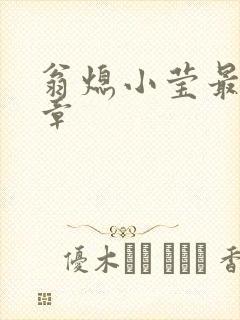 翁熄小莹最新节章