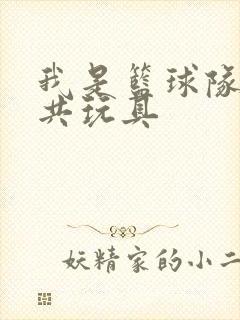 我是篮球队的公共玩具