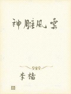 神雕风云